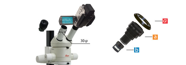 Adapter Installation with Eyepiece tube 30 mm